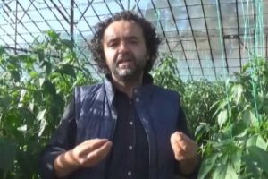 Dikkat &ccedil;ekmek isteyen 19 yıllık &ouml;ğretmen a&ccedil;ığa alındı