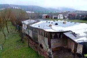 Dehşet &ccedil;iftliğinin sahibinin ilk ifadesi ortaya &ccedil;ıktı