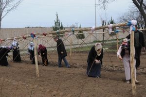 Ekmeklerini belediyenin tahsis ettiği arazide kazanacaklar