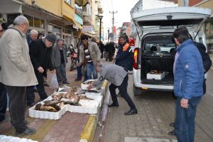 &Ouml;l&ccedil;&uuml;leri tutmayan sazanlar toplandı