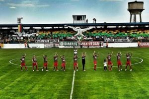 Bakanlık inceleme başlattı! Amedspor'a kayyum...