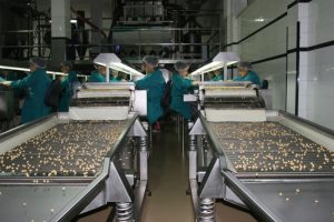 Fındık ihracatı 6 ayda 1 milyar doları ge&ccedil;ti