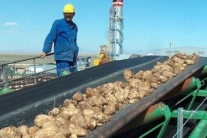 "Cargill'den şeker fabrikalarının satışı i&ccedil;in &uuml;&ccedil; senaryo" iddiası