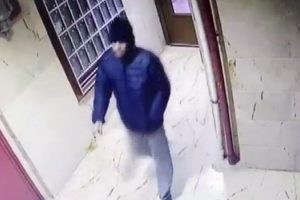 Cani evladın soğukkanlılığı kamerada