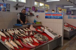 Karadeniz'de balık kalmayınca Trabzon'a balıklar Ege'den geldi