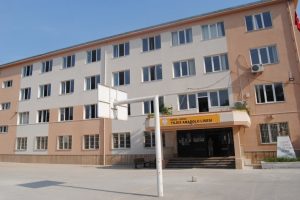 Bursa'da lise &ouml;ğrencilerinden "Zeytin Dalı" koreografisi