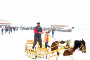 Atlı Kızak T&uuml;rkiye Şampiyonası kıran kırana ge&ccedil;ti