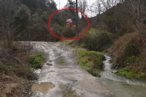 Ormanlık alana kurulan oyun parkı tedirgin ediyor