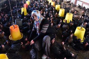 Şehir hayatından sıkıldı, k&ouml;y&uuml;ne d&ouml;n&uuml;p girişimci oldu