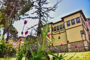 Avrupa M&uuml;ze Akademisi &uuml;yesi oldu