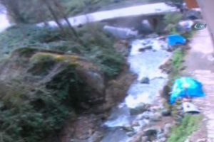 Kamyonet dereye yuvarlandı: 3 yaralı