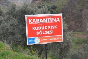 Mahalle kuduz nedeniyle karantinaya alındı