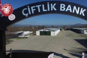 Bakanlık a&ccedil;ıkladı! &Ccedil;iftlikbank'ta yarım milyarlık vurgun