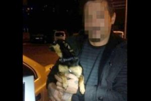 K&ouml;pek gezdiriyormuş gibi yapıp, dedekt&ouml;rle evleri soydular