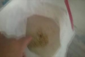 BM'nin yardım paketlerinden kurtlanmış yiyecek &ccedil;ıktığı iddiası