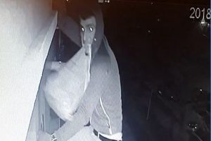 &Ouml;r&uuml;mcek Adam gibi tırmandı, &ccedil;aldıklarını ağzıyla tuttu