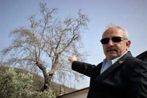 Bursa'da 700 yıllık &ccedil;ınarı kurumaya terk ettiler