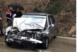 Bursa'daki kazada ormancı &ouml;ld&uuml;, sendikacılar yaralandı