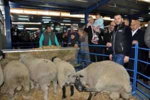 Bursa Karacabey Gıda, Tarım ve Hayvancılık Fuarı a&ccedil;ıldı