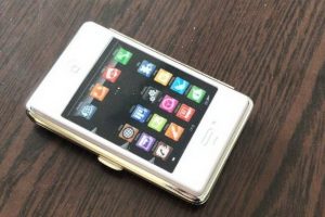Cep telefonu kapağına gizlenmiş tarihi eser ele ge&ccedil;irildi
