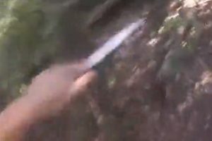 Avlamak istediği domuzun saldırısına uğradı