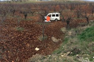 Mardin'de trafik kazası: 1 &ouml;l&uuml;, 2 yaralı