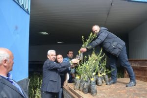 Marmarabirlik'ten Bursa'da zeytinciye "domat zeytin" fidanı