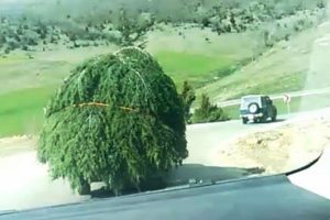 Kamyonet değil otomobil