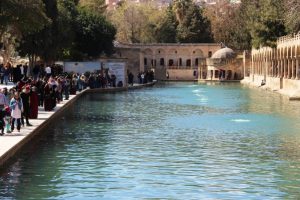 Bahar havası Şanlıurfa'ya yaradı
