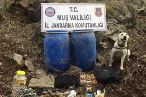 Jandarmadan ter&ouml;r &ouml;rg&uuml;t&uuml;ne b&uuml;y&uuml;k darbe