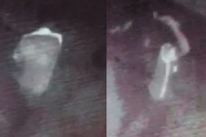 Yavru k&ouml;peği işkence yaparak &ouml;ld&uuml;rd&uuml;