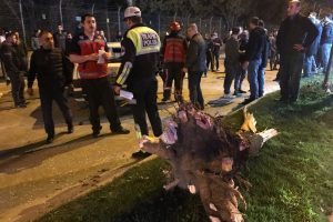 Otomobil ağacı k&ouml;k&uuml;nden s&ouml;kt&uuml;: 3 yaralı