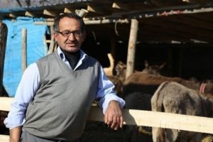 Eşek s&uuml;t&uuml;n&uuml;n litresi 100 liradan satılıyor