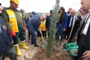 Yanan ormanlık alan '830 bin fidanla' yeniden yeşerecek