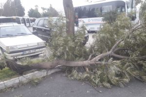 Bodrum'da fırtına hayatı fel&ccedil; etti