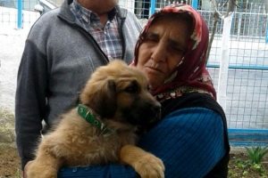 K&ouml;pek sevgisiyle sosyal medyada fenomen oldu