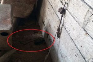 TSK: Afrin'de ter&ouml;ristlerin tuzakladığı EYP imha edildi