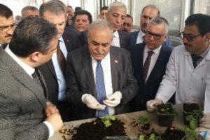 Fakıbaba: '15 &uuml;lkeye patates tohumu ihra&ccedil; edeceğiz'