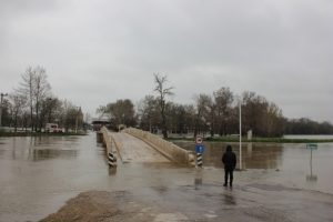 Tunca Nehri'nde 'kırmızı alarm' s&uuml;r&uuml;yor