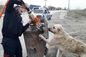 İşe ge&ccedil; kalma pahasına k&ouml;peği kurtardı