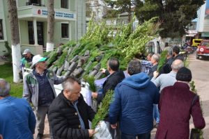 Bursa İzniklilere 5 bin fidan dağıtıldı