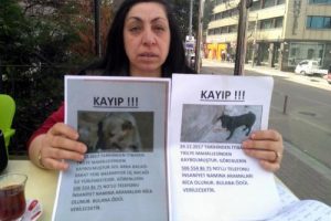 Bursa'da kayıp köpekleri ilanla arıyor