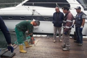 Ka&ccedil;ak iskeleleri yıktırmamak i&ccedil;in direndiler