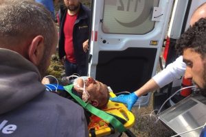Kestikleri ağacın altında kaldılar