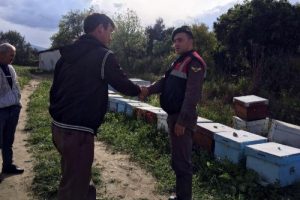 &Ccedil;alınan arı kovanları Aydın'da bulundu