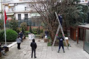 Asırlık nar ağacının bakımı yapıldı
