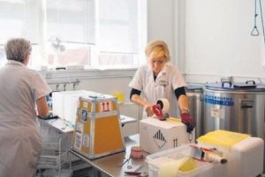 Brezilya'da sperm ithalatı patladı!