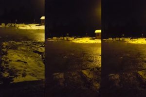 Bursa'da kış uykusundan uyandığına pişman oldu