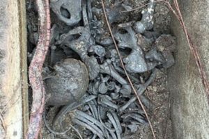 1700 yıllık lahiti satmak isteyen hırsızlar yakalandı