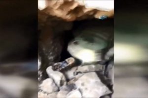 İki girişi var, 1 tondan fazla da malzeme